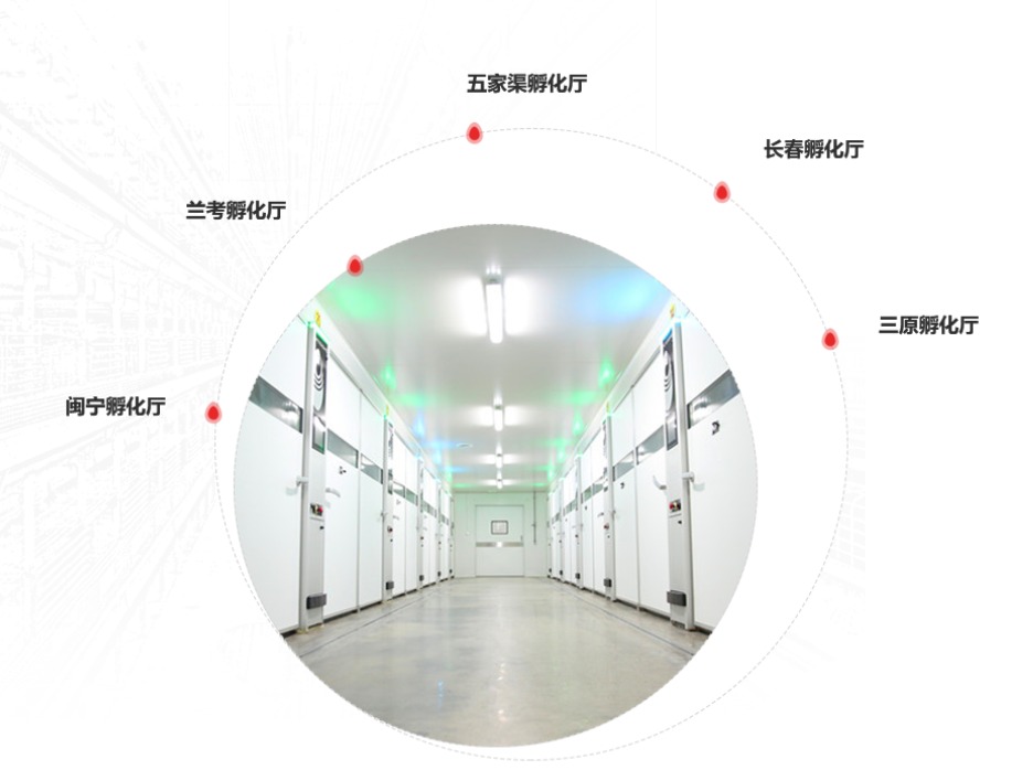 代谢与衰老基础研究与技术创新前沿会议举行