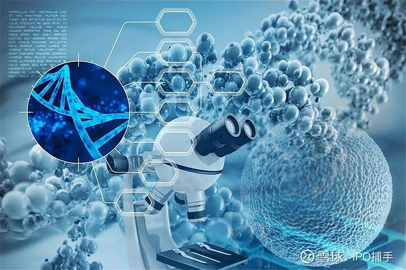 诺禾致源科创板挂牌上市开盘发行价涨1276市值达1162亿元