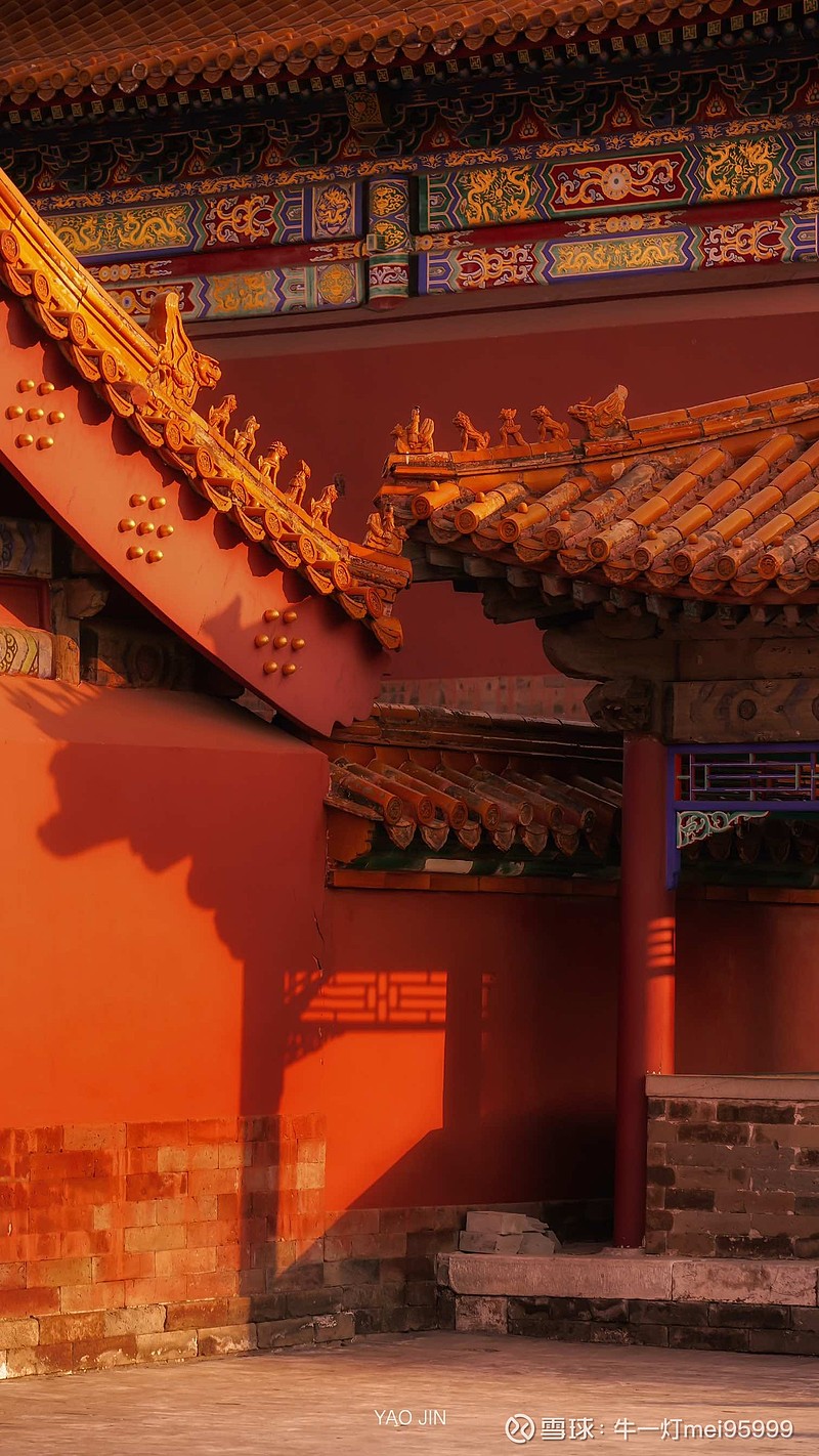 股市的逆行者不是勇者而是赌徒