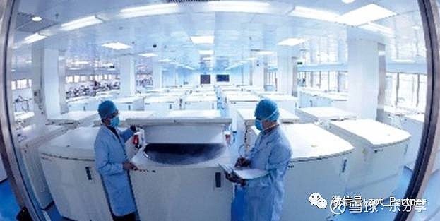 详述细胞建库和细胞库管理(图1)