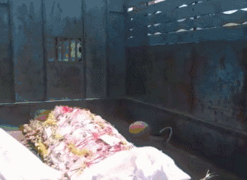 178d138585225c83fef8b359.gif!raw.gif