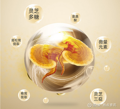 椎茸及姬松茸精华,3合1升级配方比单一灵芝子实体含更丰富灵芝三萜,多