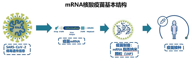 面對新冠病毒變異疫苗還能以不變應萬變嗎