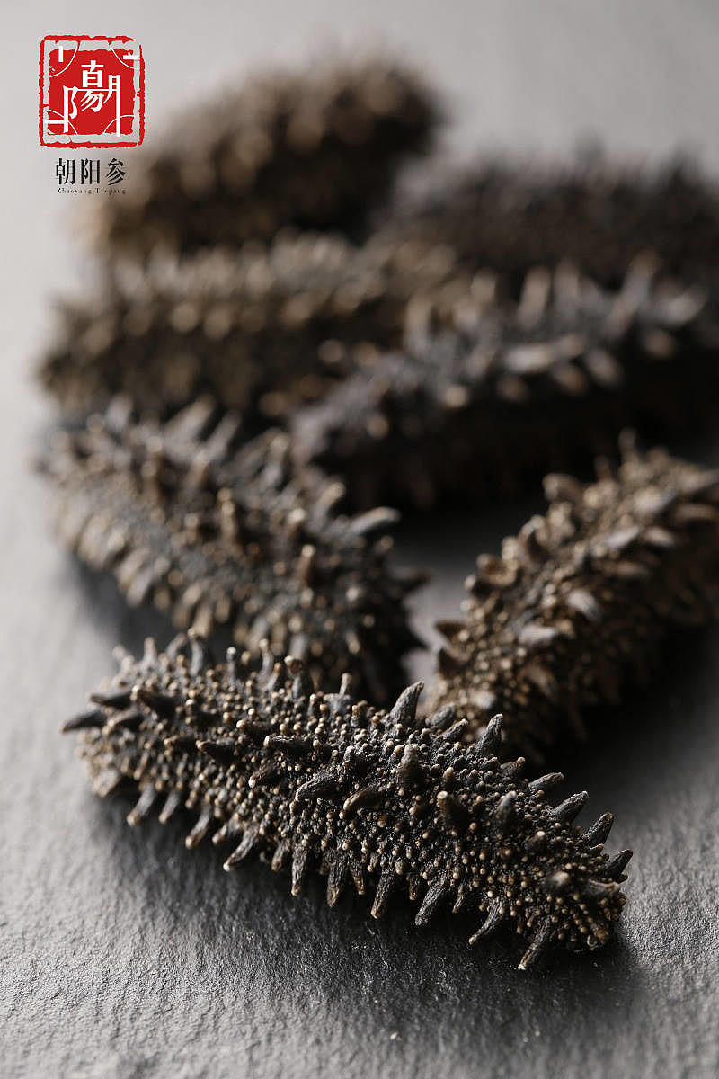 一,辽东半岛周围海域的辽参:包括中国刺参,日本刺参(关东参,关西参)