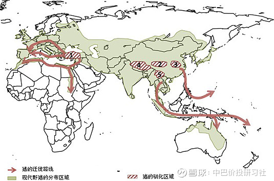 硬核分享养猪也是高科技牧原vs温氏