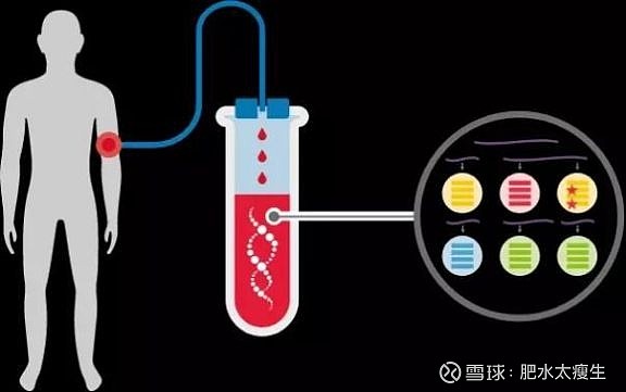 【专访 | 燃石医学 揣少坤：肿瘤基因检测行业进入下半场，燃石将以质量和技术取胜】“过去十年见证了国家的崛起、生物行业的... - 雪球