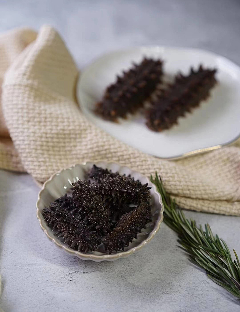 2021年营养滋补野生海参怎么选