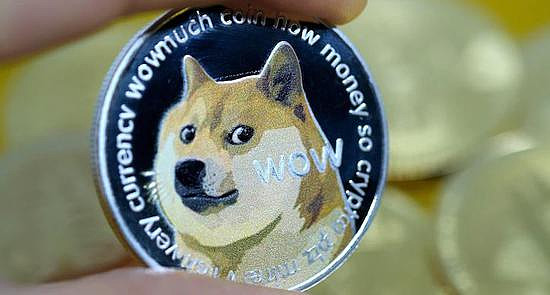 【美国议员也买狗狗币,不到20天赚六倍】美国一位众议员也加入了加密