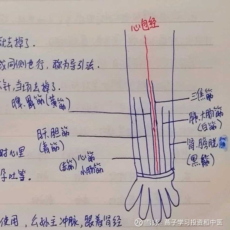 另外手这里有手六筋,手十二经筋,请看图