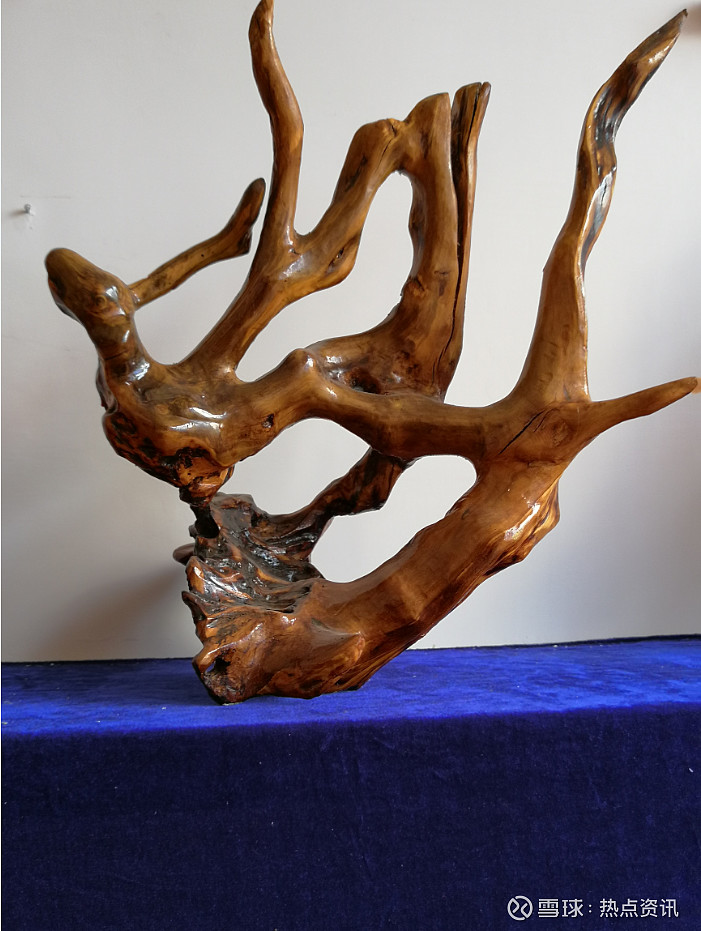 根雕艺术大师张金来入驻全球影响力时代华人网