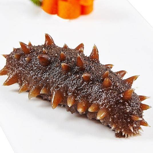 朝阳参的北海道关东参趁现在还便宜多吃点吧