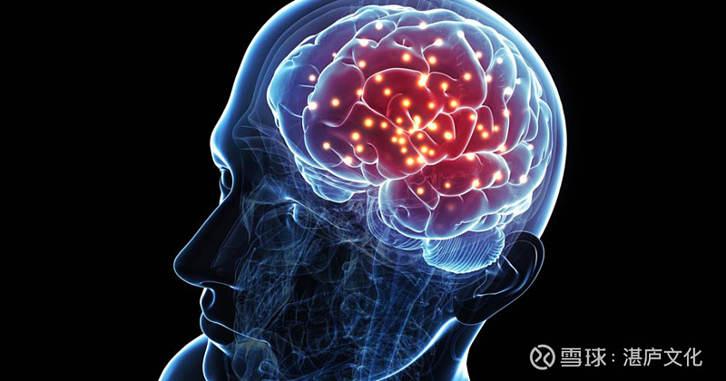 韩焱精选 | 想要更强的创造力,你需要进化论思维?