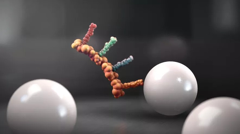 自1970年后,双链dna(>100 bp)的合成才开始迅速发展.