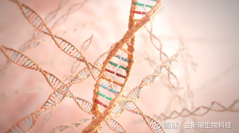 科普系列 Dna合成技术进化史 金斯瑞生物科技 01548 4月25日是dna Day 这是生物学历史上的一个大 日子 因为在68年前 也就是195