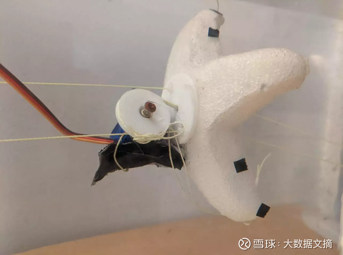 mit开发水下派大星机器人可在几小时内制造形状酷似海星游泳更胜一筹