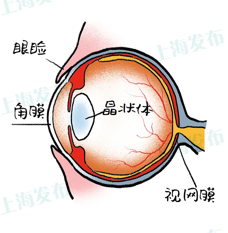 作者:淡忘的歲月