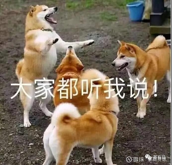 "村口的狗叫了,于是村里的狗也跟着一起叫,他们也不知道为什么叫,叫