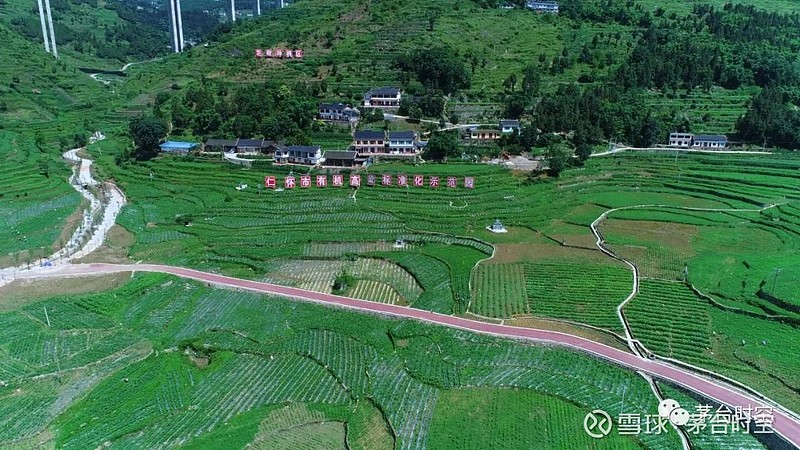 这里是"茅台酒第一车间" 顺着仁怀市大坝镇簸箕坝村宽敞的道路往前走