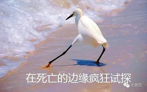 5月开门红可期55