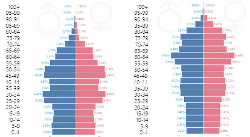 2021年人口结构图图片