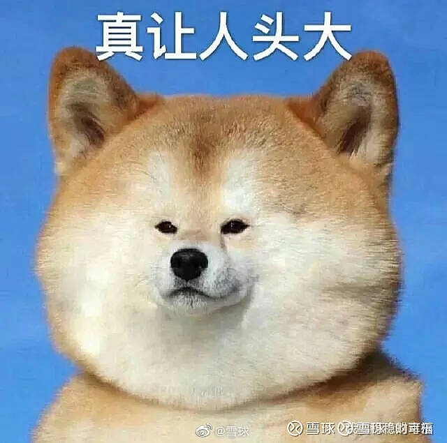 还加仓了.真是头大.