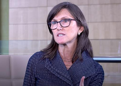 【"女股神"增持 京东 价值2770万美元股票】凯茜-伍德的旗舰基金方舟