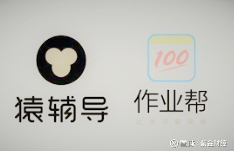 作业帮,猿辅导因虚假宣传被顶格罚款250万元 紫金财