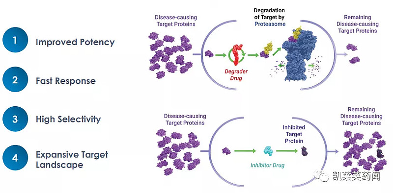 未来可期的PROTAC：全球最新研发进展 文章来源：“ 凯莱英 药闻”微信公众号过去十年，药物靶标领域的格局发生了重大变化。尽管传统靶标依然是 ...