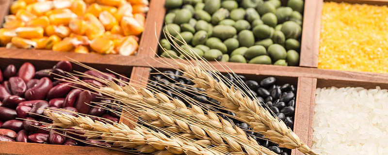 境外农产品大宗择时21517