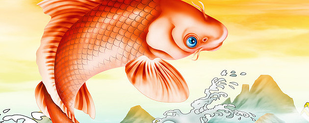 金龙鱼是一条跃龙门的鲤鱼吗