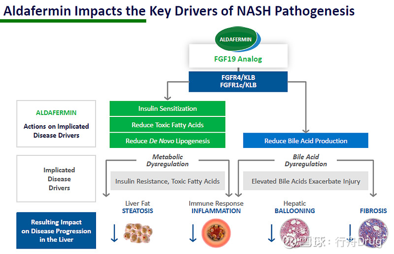 NGM Biopharma Drug Armstrong NGM Biopharmaceuticals ngm-biopharma-drug-armstrong-ngm-biopharmaceuticals