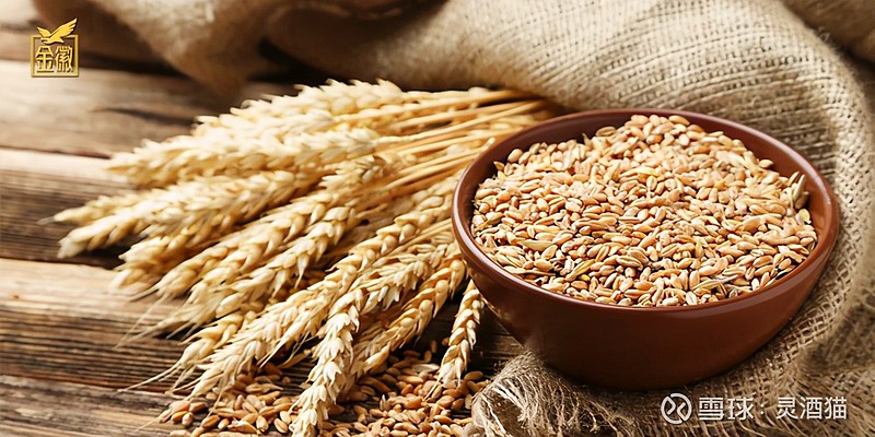 五种粮食,成就绿色金徽