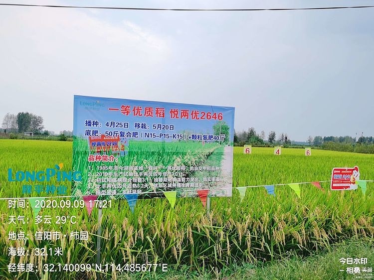 晶彩未尽悦享未来记河南省悦两优2646省级观摩会议