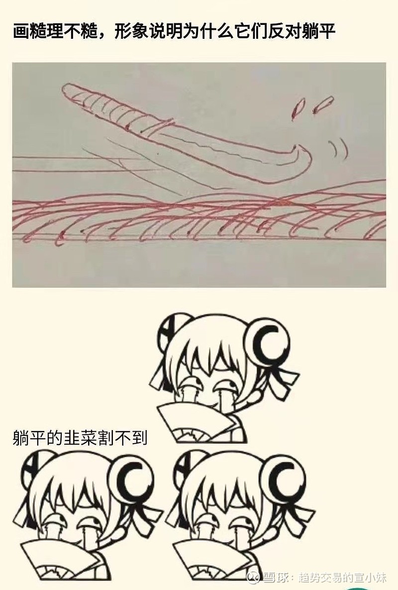 躺平的韭菜割不到