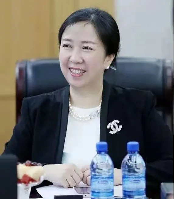 巧塔"人设"2015年3月开始,何雪梅注册了个人微信公众号:"一何一世界".