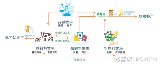 牛奶的供应链流程图图片