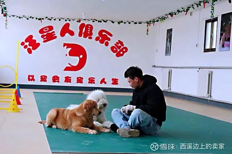 进来汪汪汪出去嘤嘤嘤淘宝最牛训犬师专治问题宠物