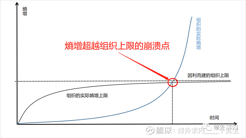 价值观是组织对抗熵增的最好办法
