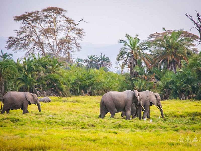 转债网页链接007-淮矿转债-做钢铁行业生意的煤矿网页链接006-靖远转
