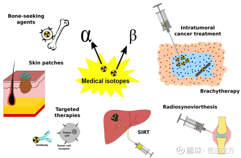 放射性核素治療腫瘤主要有以下三種策略:1)靶向治療,如放射免疫治療