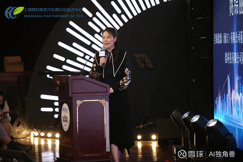 美锦能源姚锦丽:传统能源企业转型氢能源的战略思路