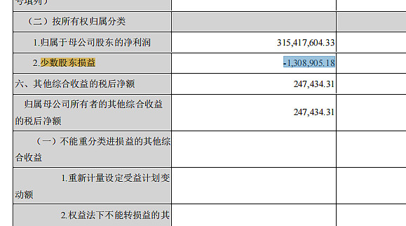 双箭股份 Sz 双箭年年报第69页合并利润表中少数股东损益栏是 18 这是什么意