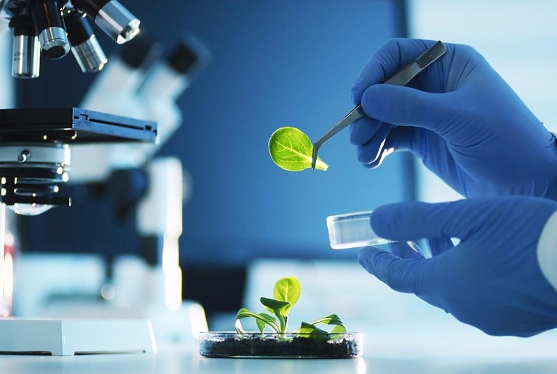 皓元医药平台级小分子药物研发独角兽覆盖国内外3000家科研机构著名