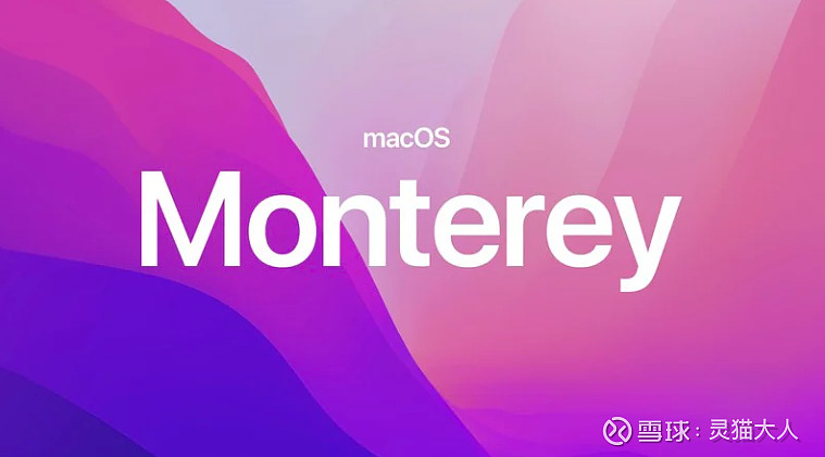 wwdc 2021 没有发布 新硬件 ,西班牙小哥这次要剃眉毛和秃头了 $苹果