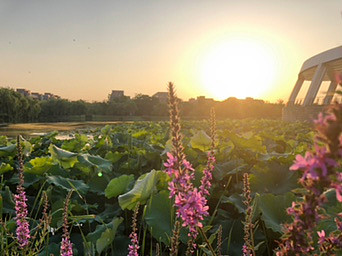 可转债打新日历 万兴转债6月9日打新申购分析这是飞教头的第5篇原创文章第一 为什么打新债有同学问 可转债打新会亏钱吗 如果你碰到破发的新可转债 会亏钱的 如果