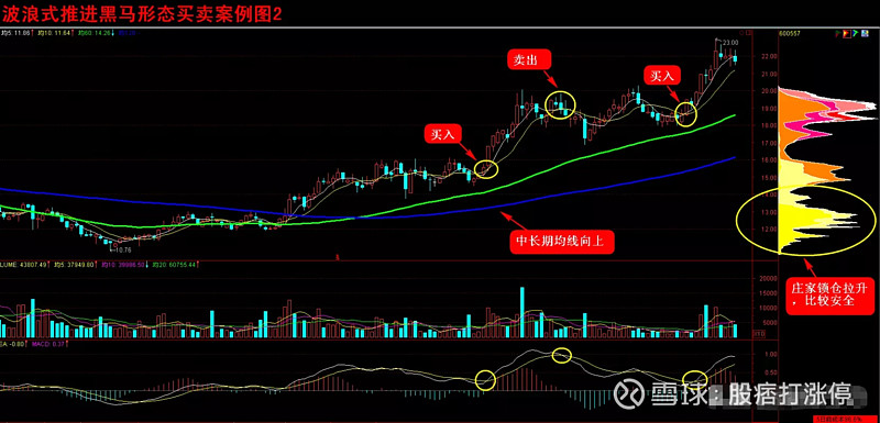 乾貨中的乾貨,記錄經典黑馬形態——老鴨頭戰法解析,不收藏,我都替你