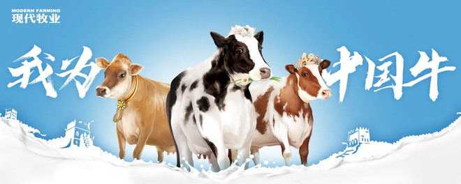 现代牧业品牌焕新：好牛自然产好奶，引领牛奶消费新趋势-科记汇
