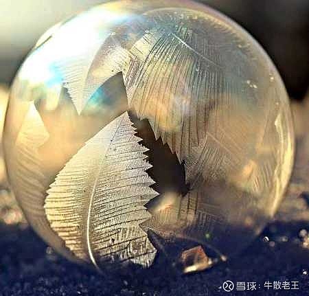 双星新材雪球图片