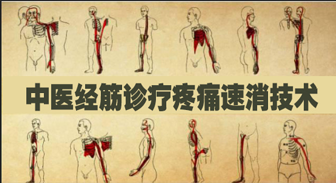 鸿缘健康吴军老师中医经筋诊疗疼痛速消技术快速调理膝关节疼痛问题