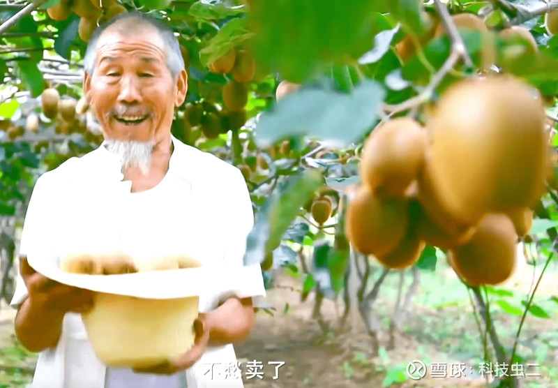 " 拼多多 ,拼多多,拼得多,省的多"这般魔性的广告语,就连